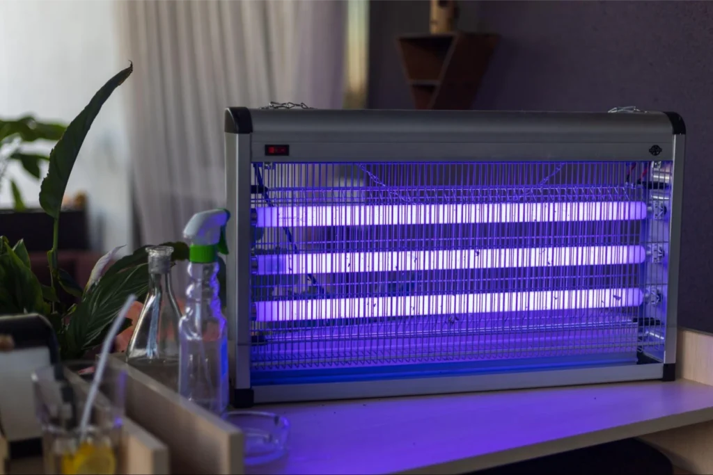 Are Mosquitoes Attracted to Lights?