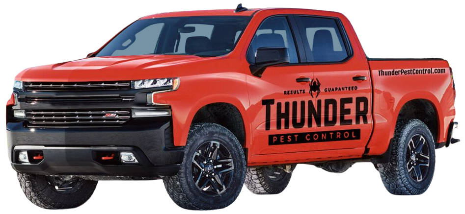 Oklahoma City Residential Pest Removal Solutions