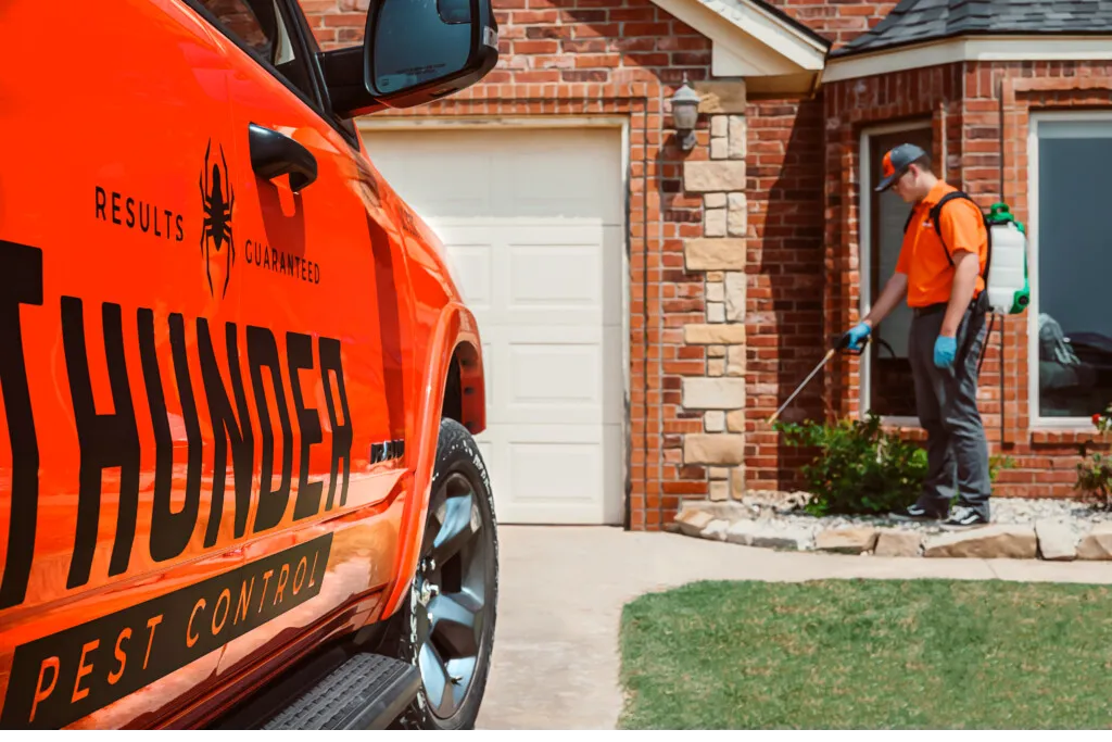 Oklahoma Pests Control